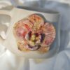 'Butterfly orchid' bögre - 2,5dl