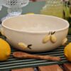 'Lemon sorbet' tál
