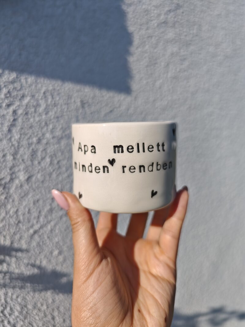 Egy darabos termékek 'Apa mellett minden rendben' pohár 2,5dl
